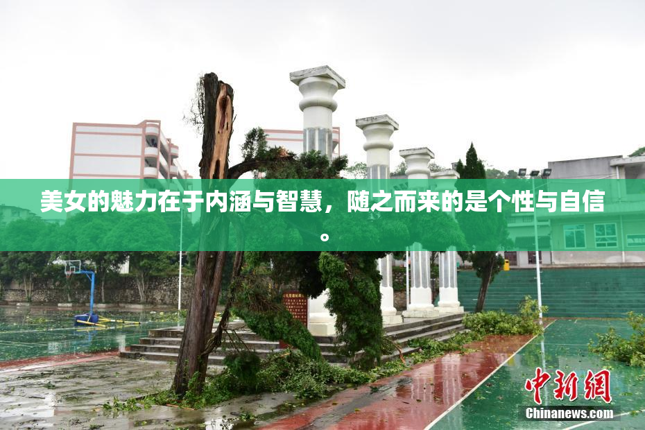 美女的魅力在于内涵与智慧，随之而来的是个性与自信。