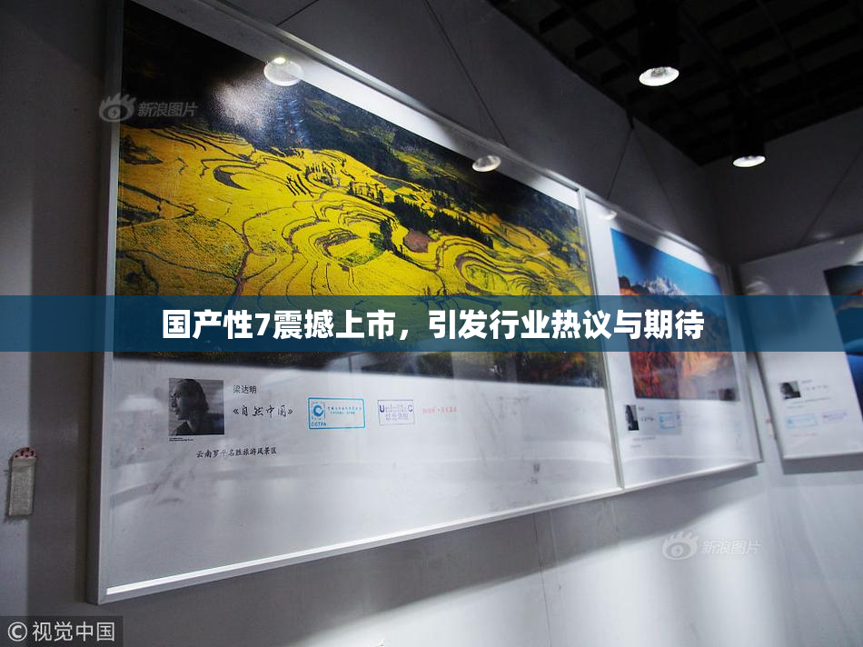 国产性7震撼上市，引发行业热议与期待