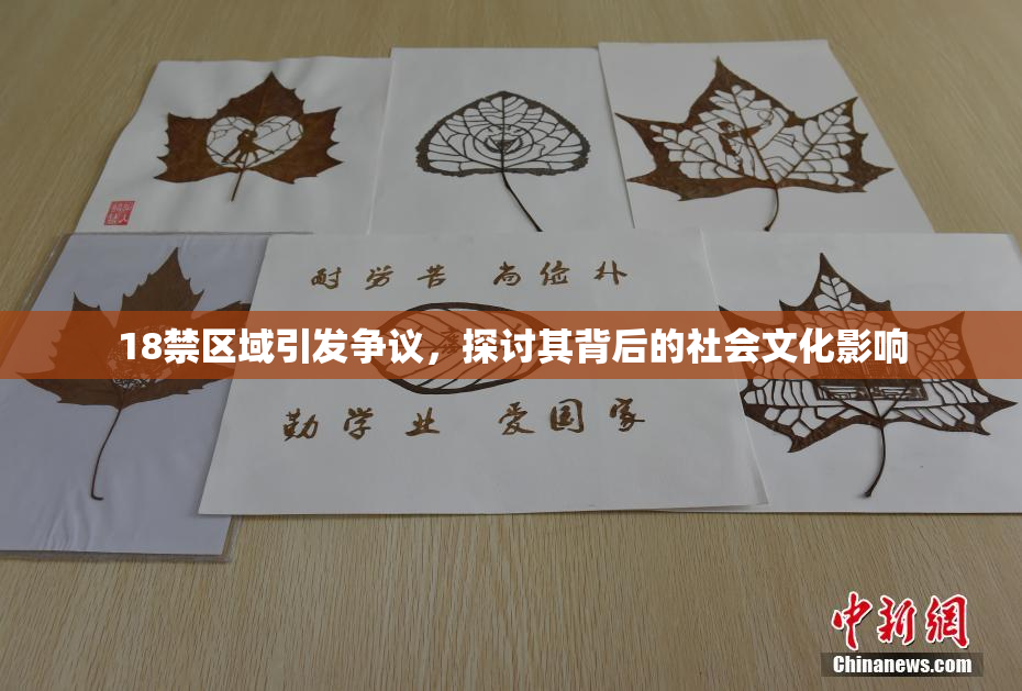 18禁区域引发争议，探讨其背后的社会文化影响