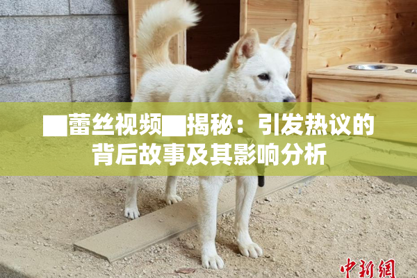 ▇蕾丝视频▇揭秘：引发热议的背后故事及其影响分析