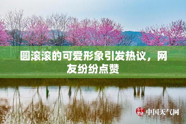 圆滚滚的可爱形象引发热议，网友纷纷点赞