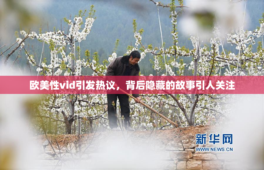 欧美性vid引发热议，背后隐藏的故事引人关注