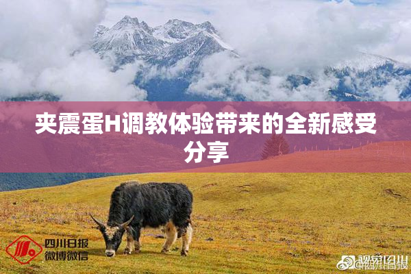 夹震蛋H调教体验带来的全新感受分享
