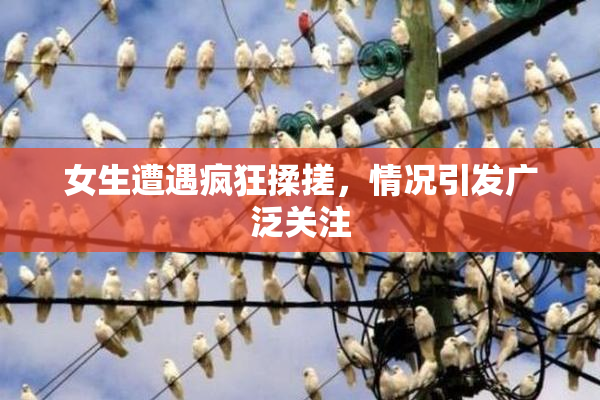 女生遭遇疯狂揉搓，情况引发广泛关注