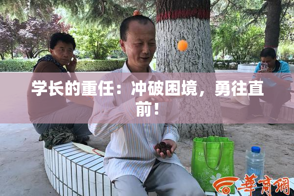 学长的重任：冲破困境，勇往直前！