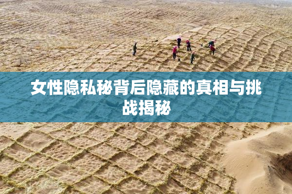 女性隐私秘背后隐藏的真相与挑战揭秘