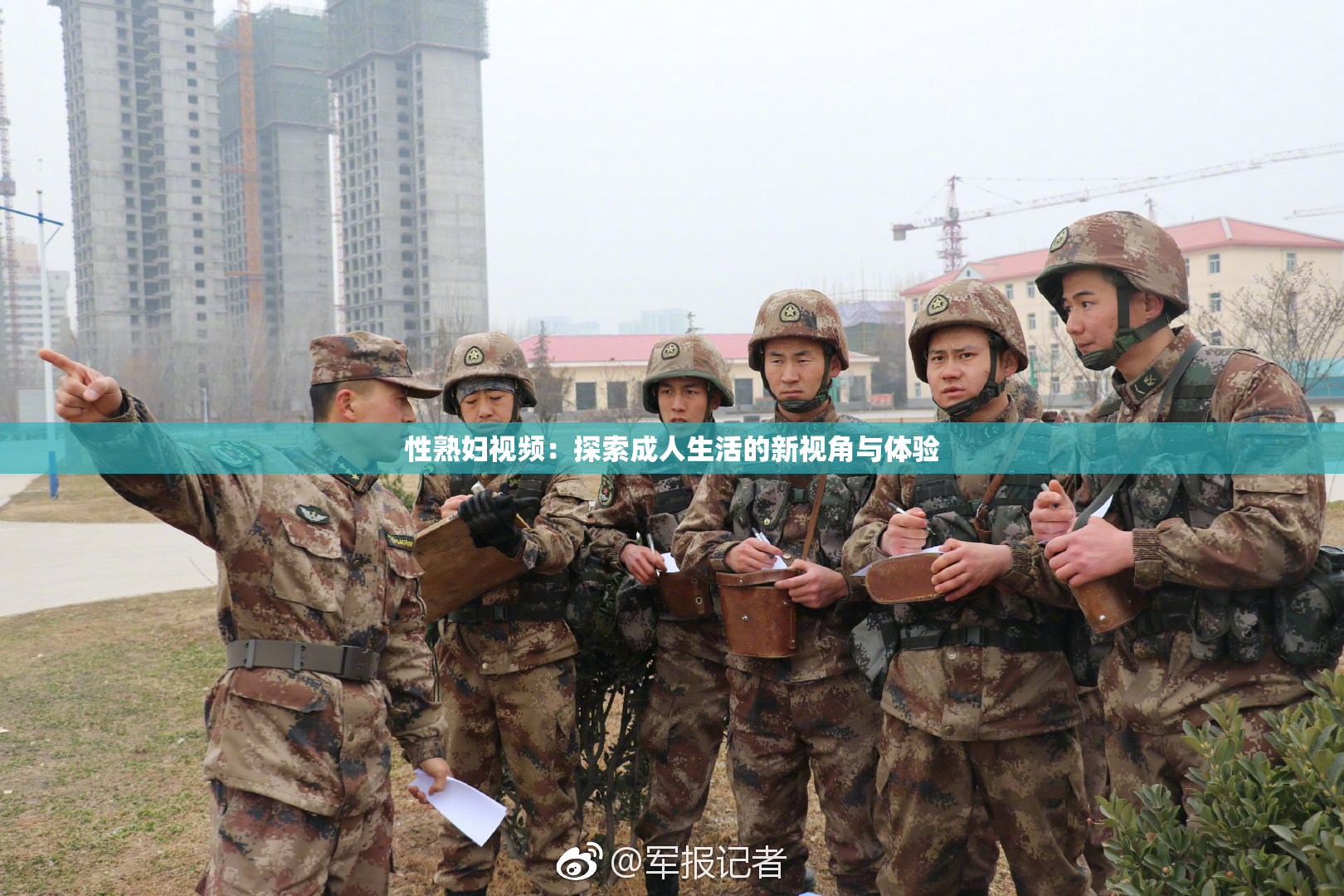 性熟妇视频：探索成人生活的新视角与体验