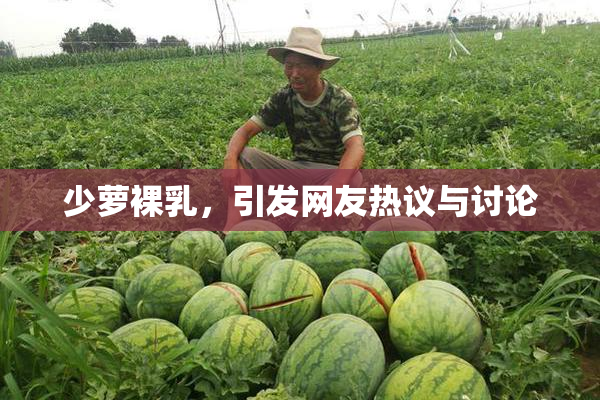 少萝裸乳，引发网友热议与讨论