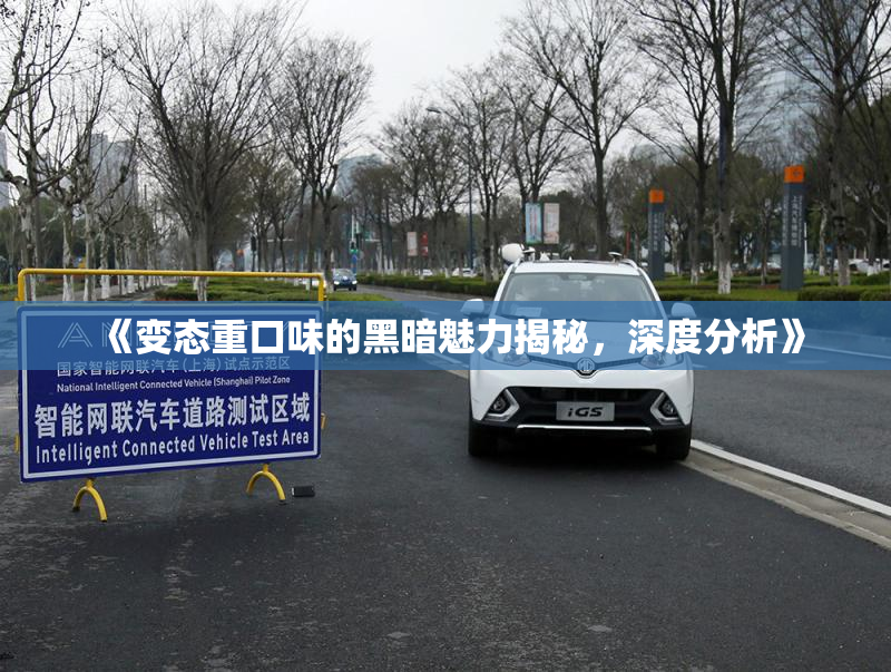 《变态重口味的黑暗魅力揭秘，深度分析》