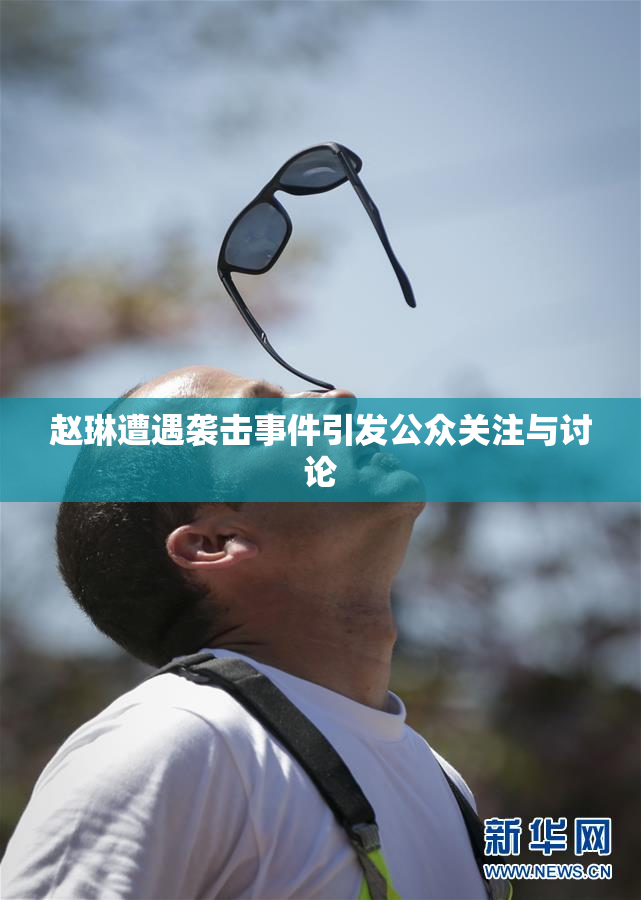 赵琳遭遇袭击事件引发公众关注与讨论