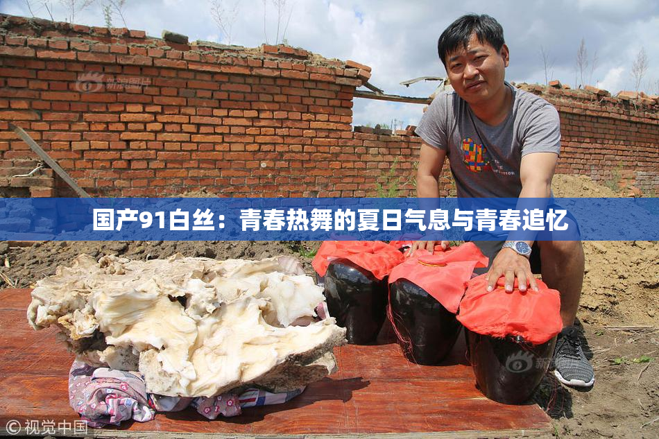 国产91白丝：青春热舞的夏日气息与青春追忆