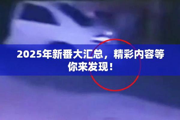 2025年新番大汇总，精彩内容等你来发现！