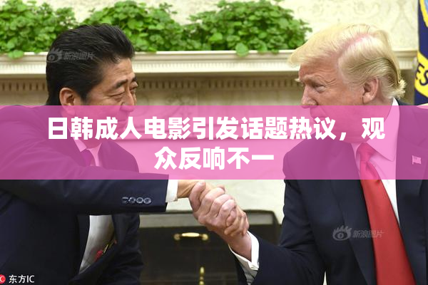 日韩成人电影引发话题热议，观众反响不一