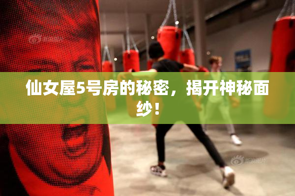 仙女屋5号房的秘密，揭开神秘面纱！