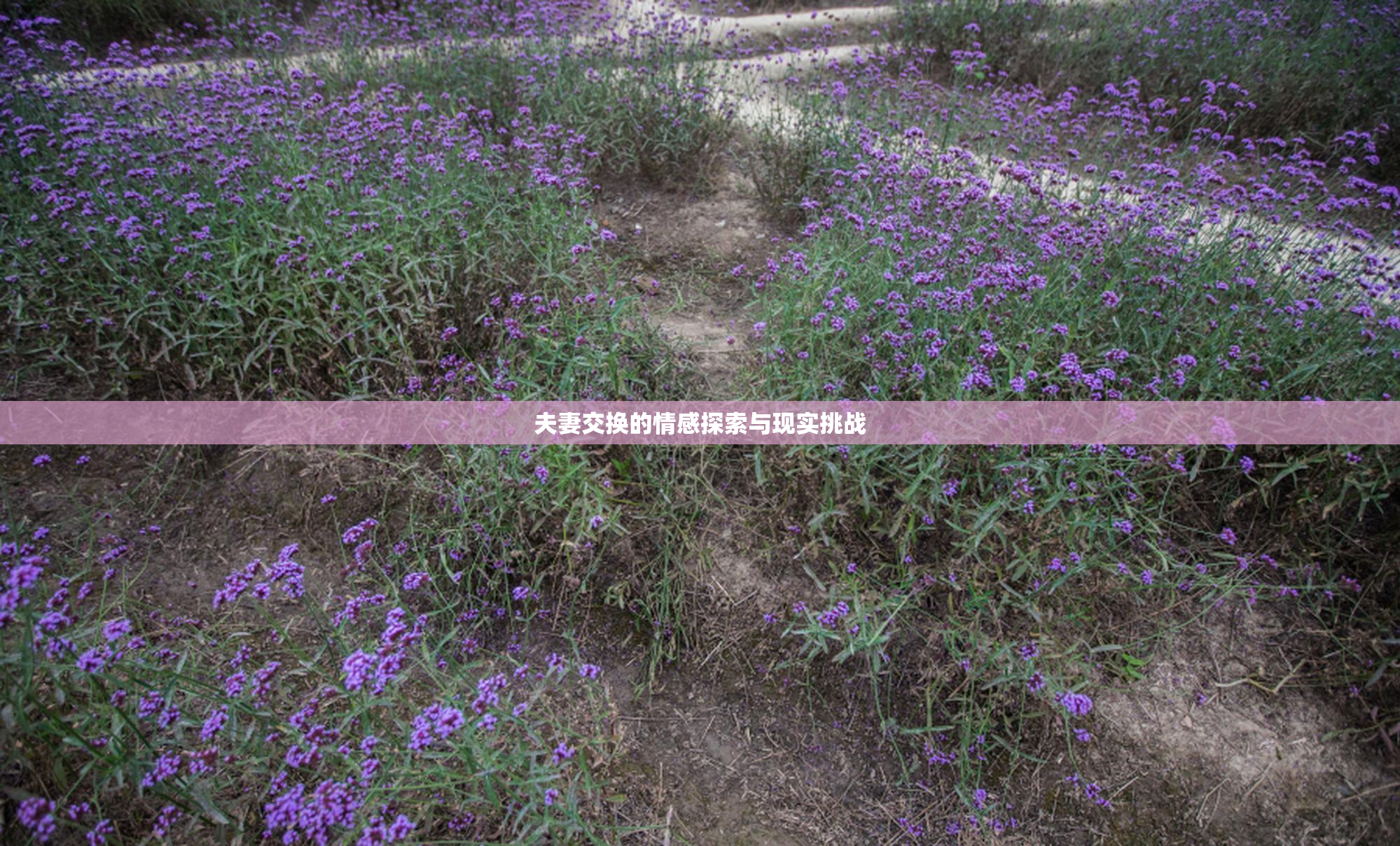 夫妻交换的情感探索与现实挑战