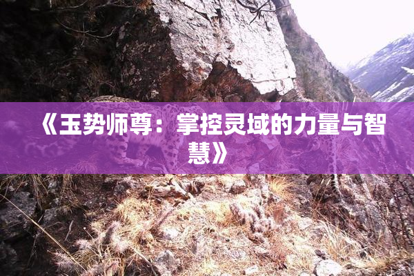 《玉势师尊：掌控灵域的力量与智慧》