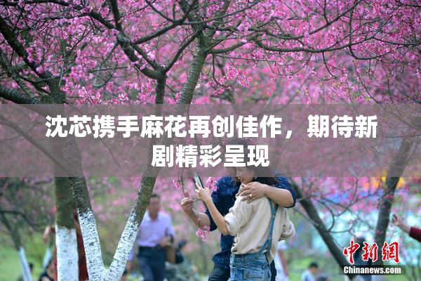沈芯携手麻花再创佳作，期待新剧精彩呈现