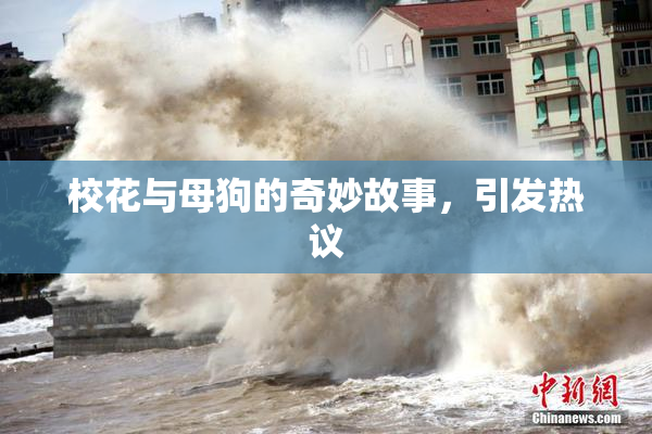 校花与母狗的奇妙故事，引发热议