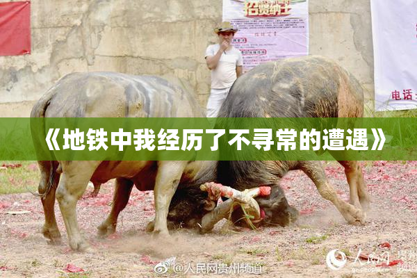 《地铁中我经历了不寻常的遭遇》
