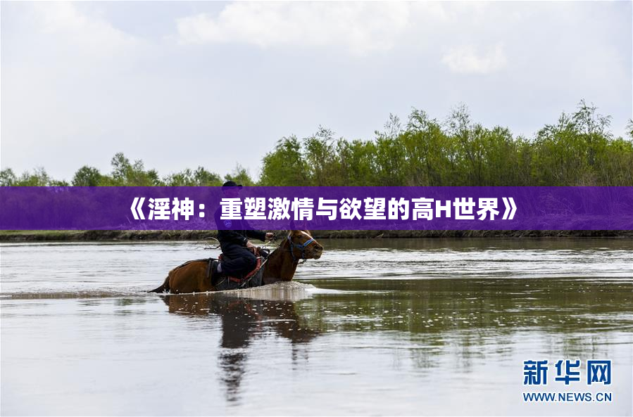 《淫神：重塑激情与欲望的高H世界》