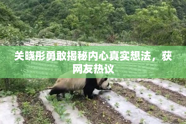 关晓彤勇敢揭秘内心真实想法，获网友热议