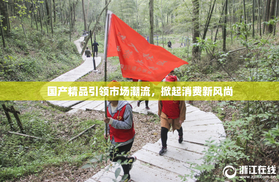 国产精品引领市场潮流，掀起消费新风尚