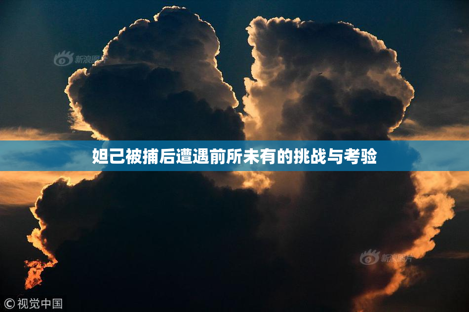 妲己被捕后遭遇前所未有的挑战与考验
