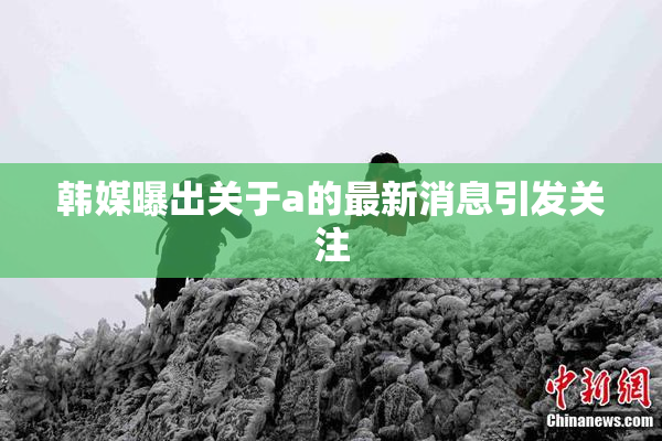 韩媒曝出关于a的最新消息引发关注