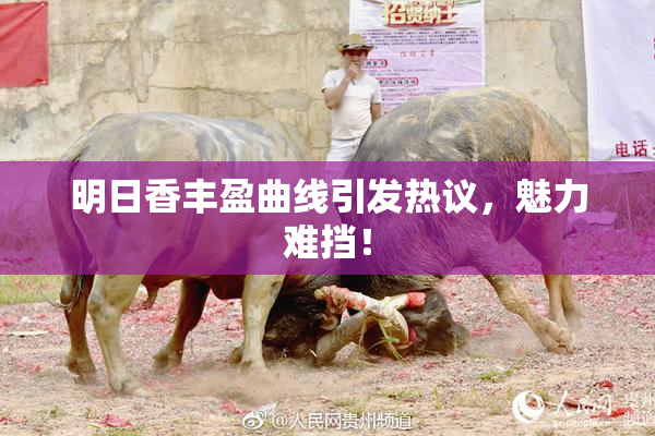 明日香丰盈曲线引发热议，魅力难挡！