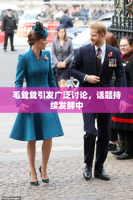 毛耸耸引发广泛讨论，话题持续发酵中