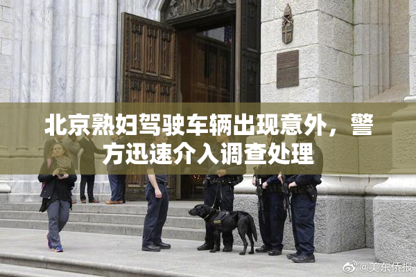 北京熟妇驾驶车辆出现意外，警方迅速介入调查处理