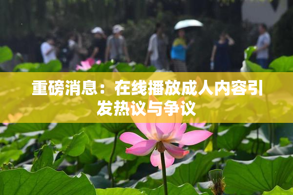 重磅消息：在线播放成人内容引发热议与争议