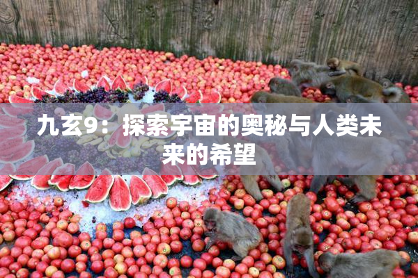 九玄9：探索宇宙的奥秘与人类未来的希望