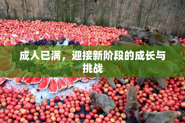 成人已满，迎接新阶段的成长与挑战