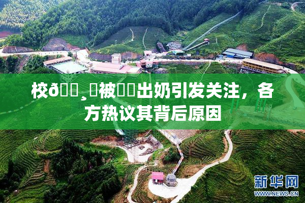 校🌸‌被❌‌出奶引发关注，各方热议其背后原因