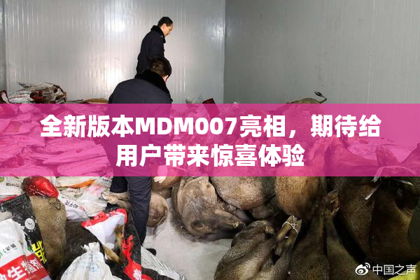 全新版本MDM007亮相，期待给用户带来惊喜体验