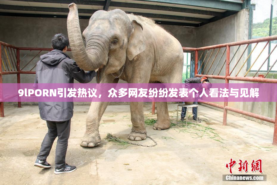 9lPORN引发热议，众多网友纷纷发表个人看法与见解