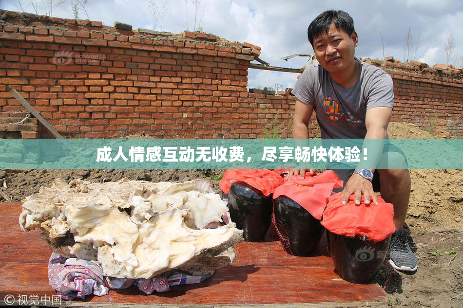 成人情感互动无收费，尽享畅快体验！