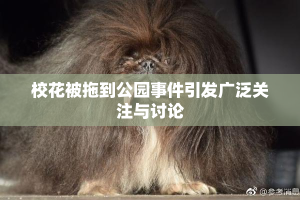 校花被拖到公园事件引发广泛关注与讨论