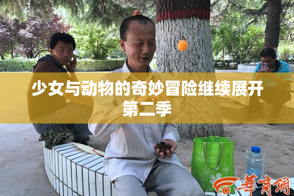 少女与动物的奇妙冒险继续展开第二季