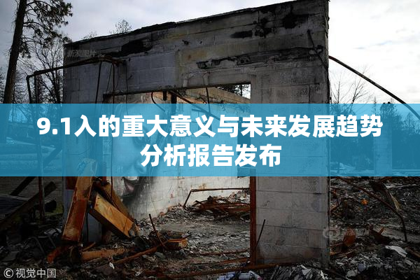 9.1入的重大意义与未来发展趋势分析报告发布