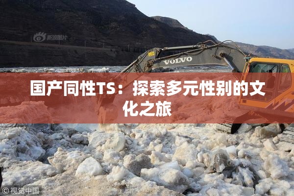 国产同性TS：探索多元性别的文化之旅