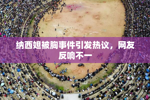 纳西妲被胸事件引发热议，网友反响不一