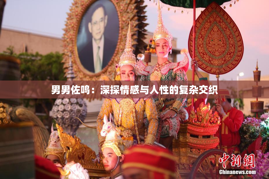 男男佐鸣：深探情感与人性的复杂交织