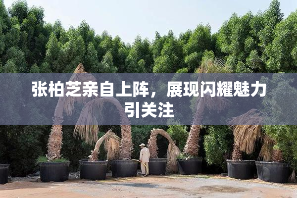 张柏芝亲自上阵，展现闪耀魅力引关注
