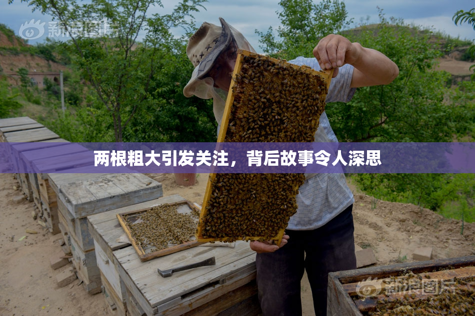 两根粗大引发关注，背后故事令人深思