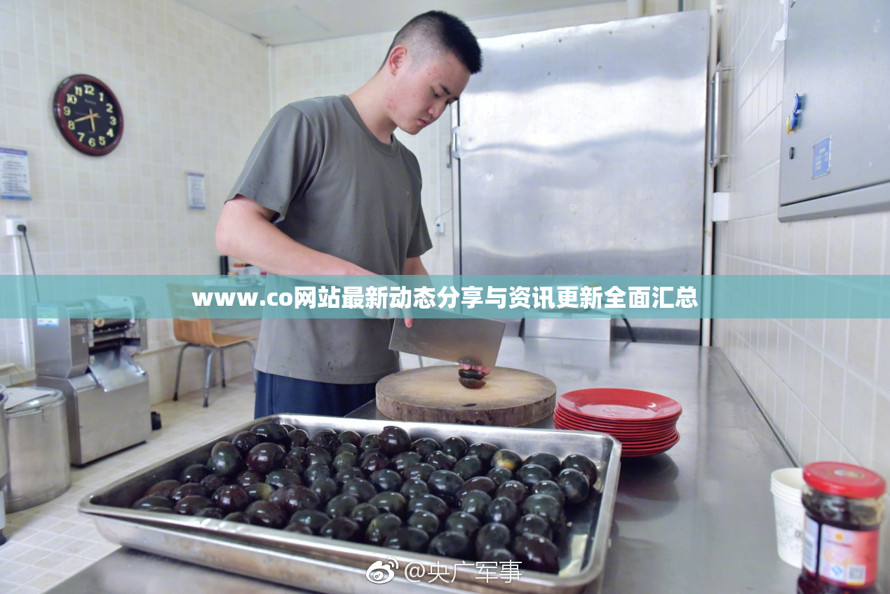 www.co网站最新动态分享与资讯更新全面汇总