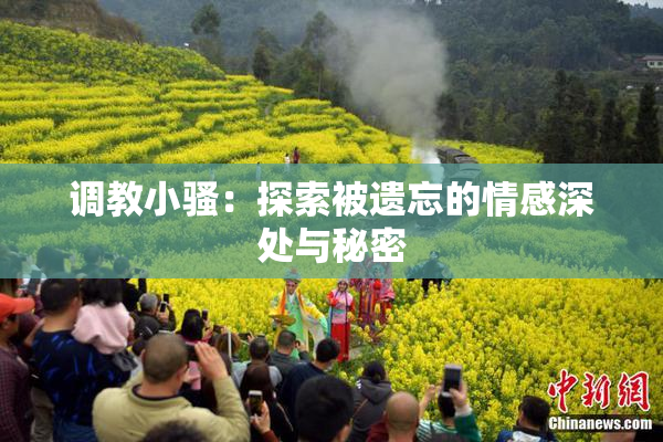 调教小骚：探索被遗忘的情感深处与秘密