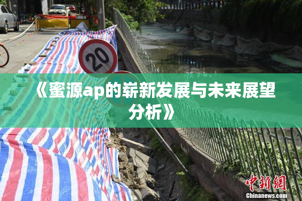 《蜜源ap的崭新发展与未来展望分析》