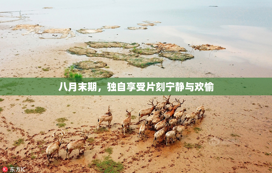 八月末期，独自享受片刻宁静与欢愉